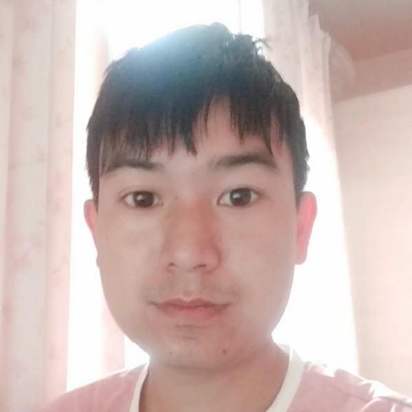 向日葵和危机的照片