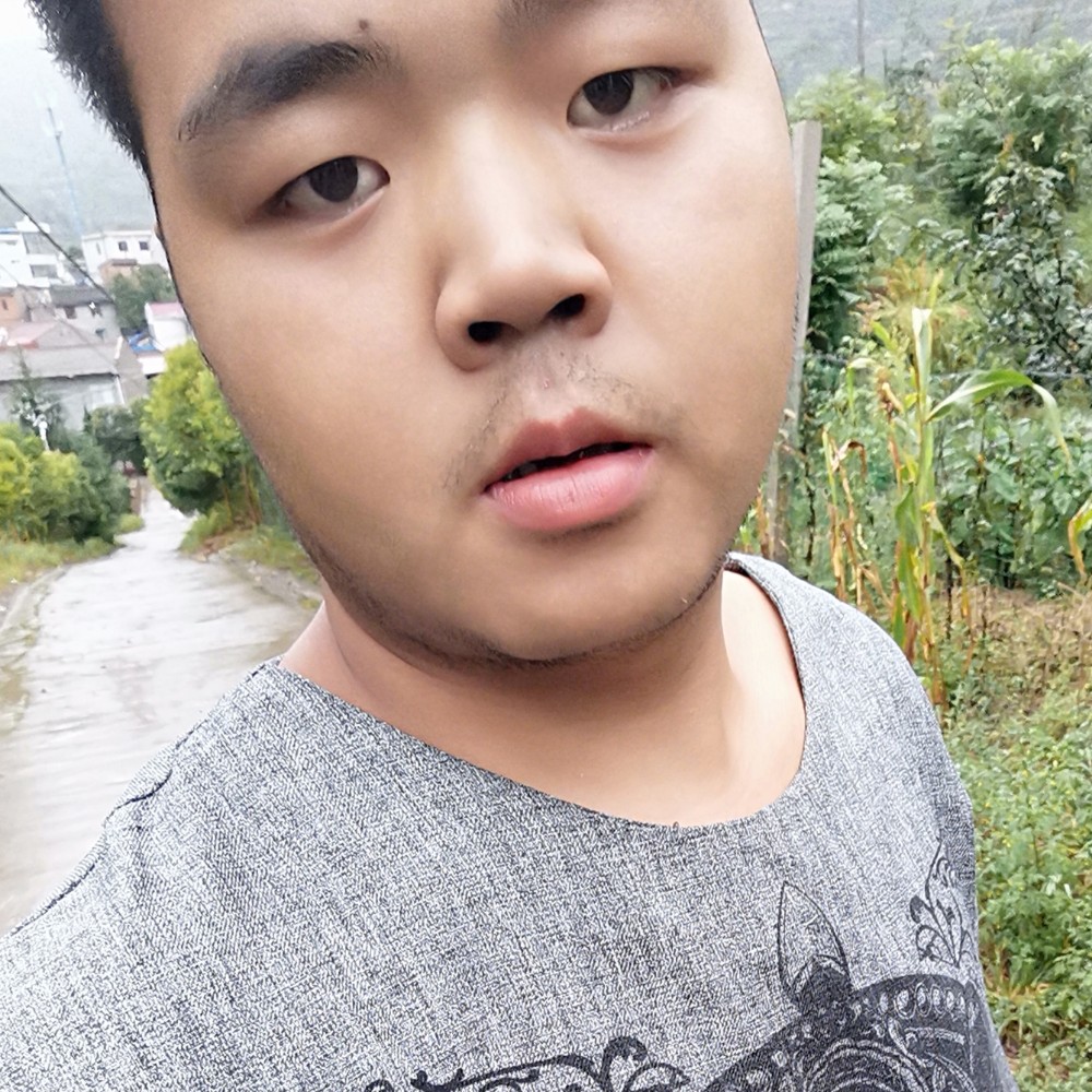 小蝴蝶安详的照片