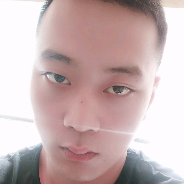 没有翅膀的天鹅的照片