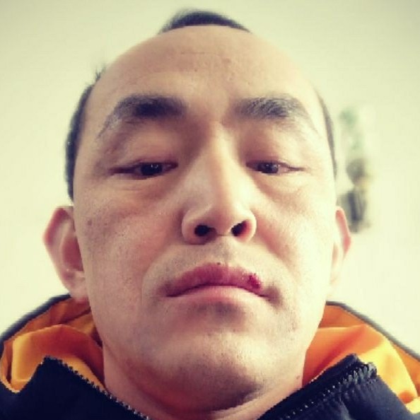 柠檬多么孤独的照片
