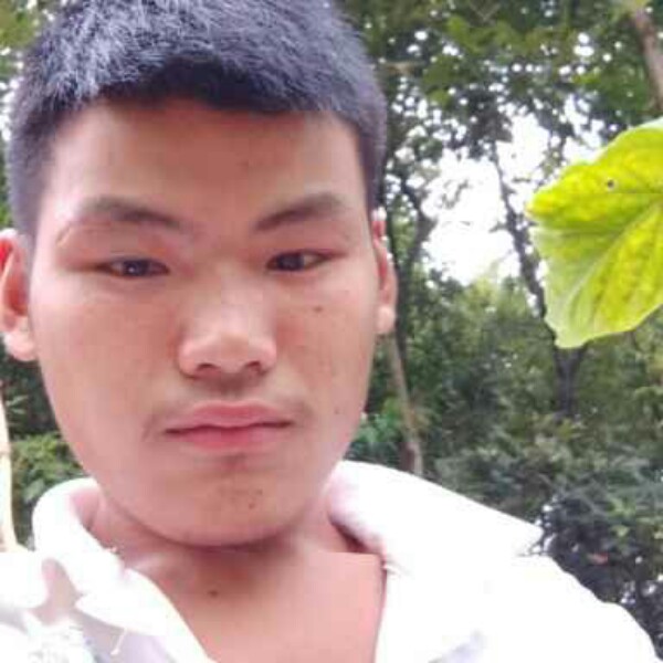 成就薯片的照片