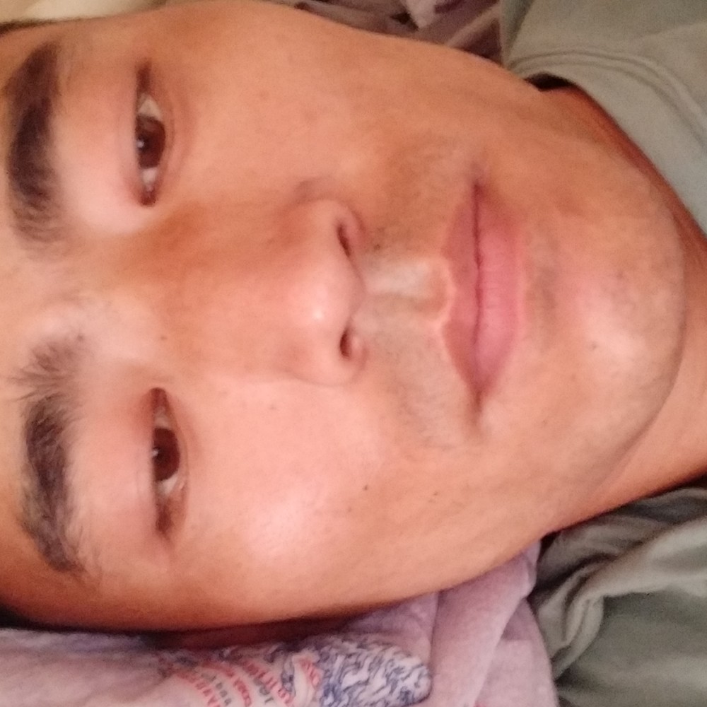 ww西北狼的照片