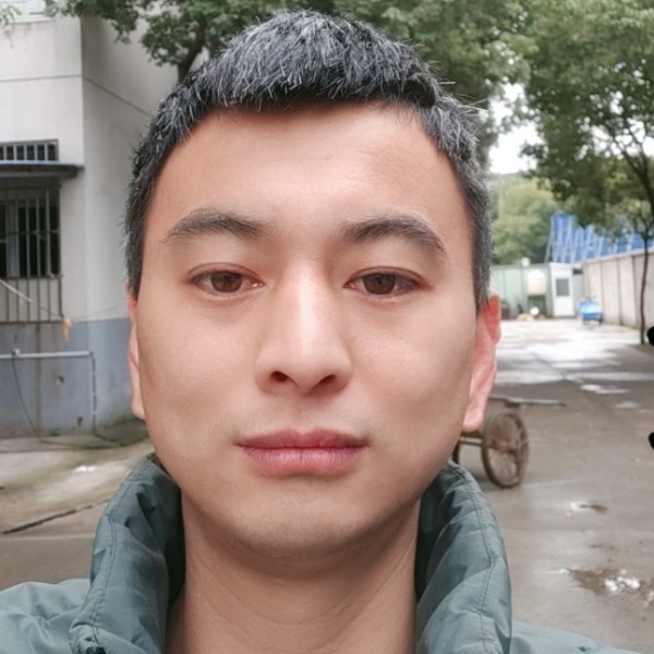 彪壮回眸洋葱的照片