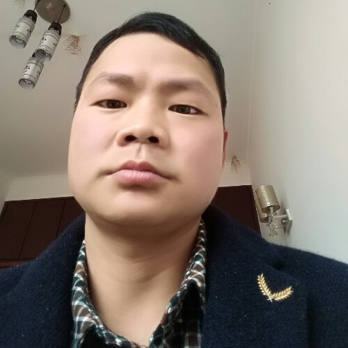 无花果的果实的照片