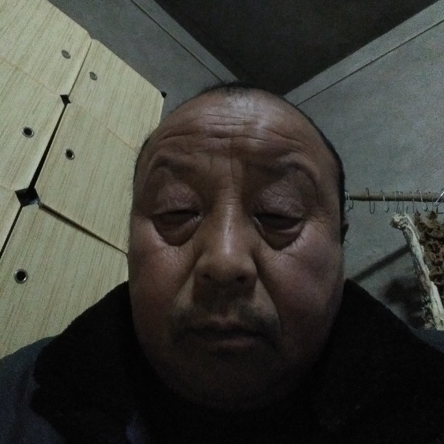 美好一枝花的照片
