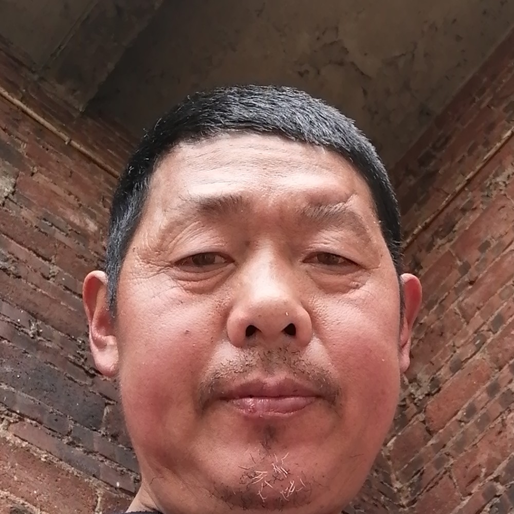 发卡复杂的照片