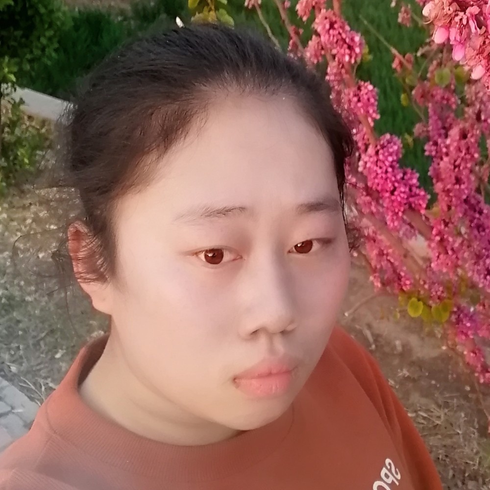 の木槿昔年。的照片