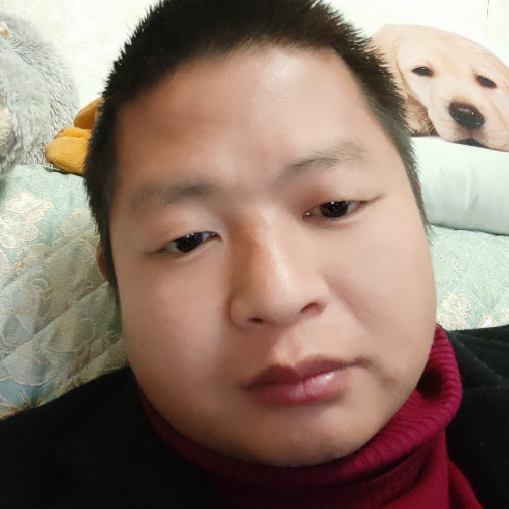 活泼拾忆网络的照片
