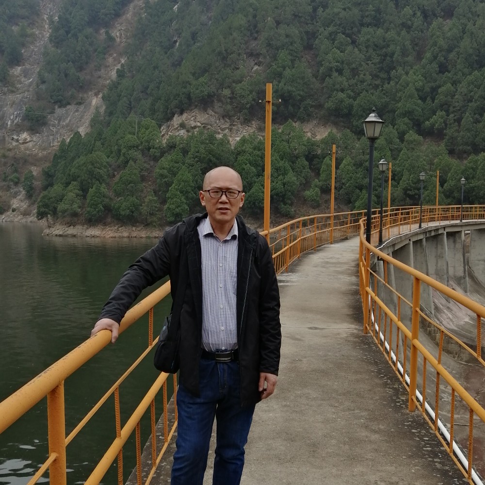 含羞草爱恋畅快的照片
