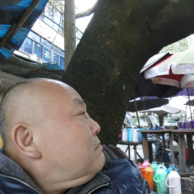 会员244554818的照片