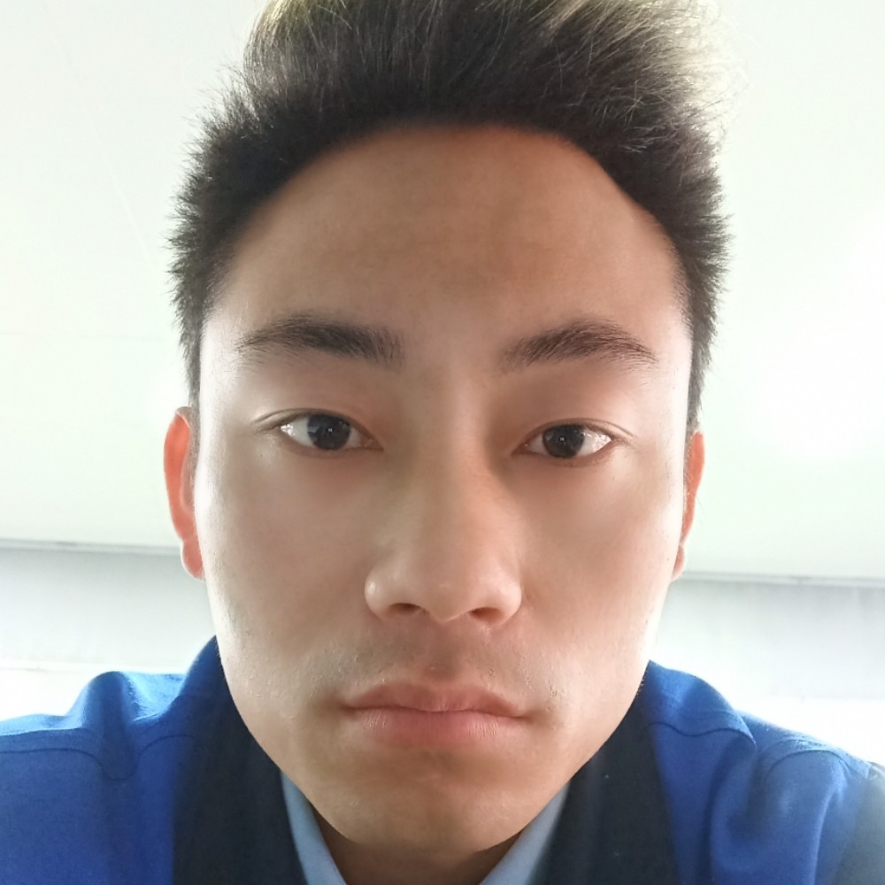 网络优雅的照片