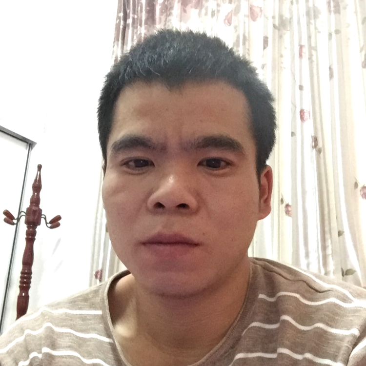 网络给生动的照片