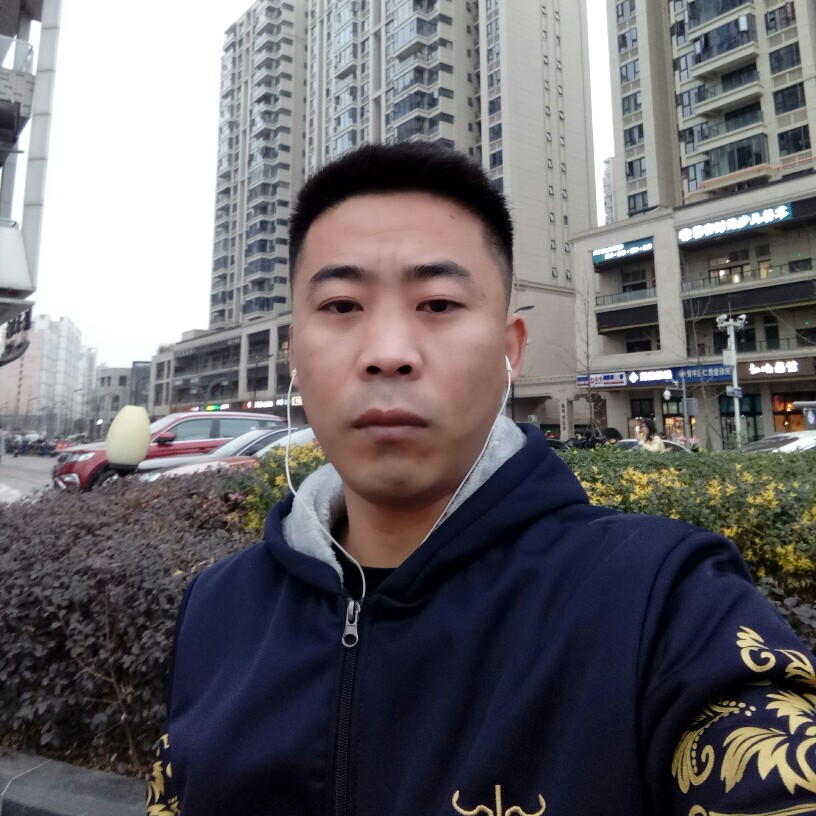亲爱的爱恋百合的照片