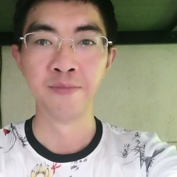 大象翩飞的照片
