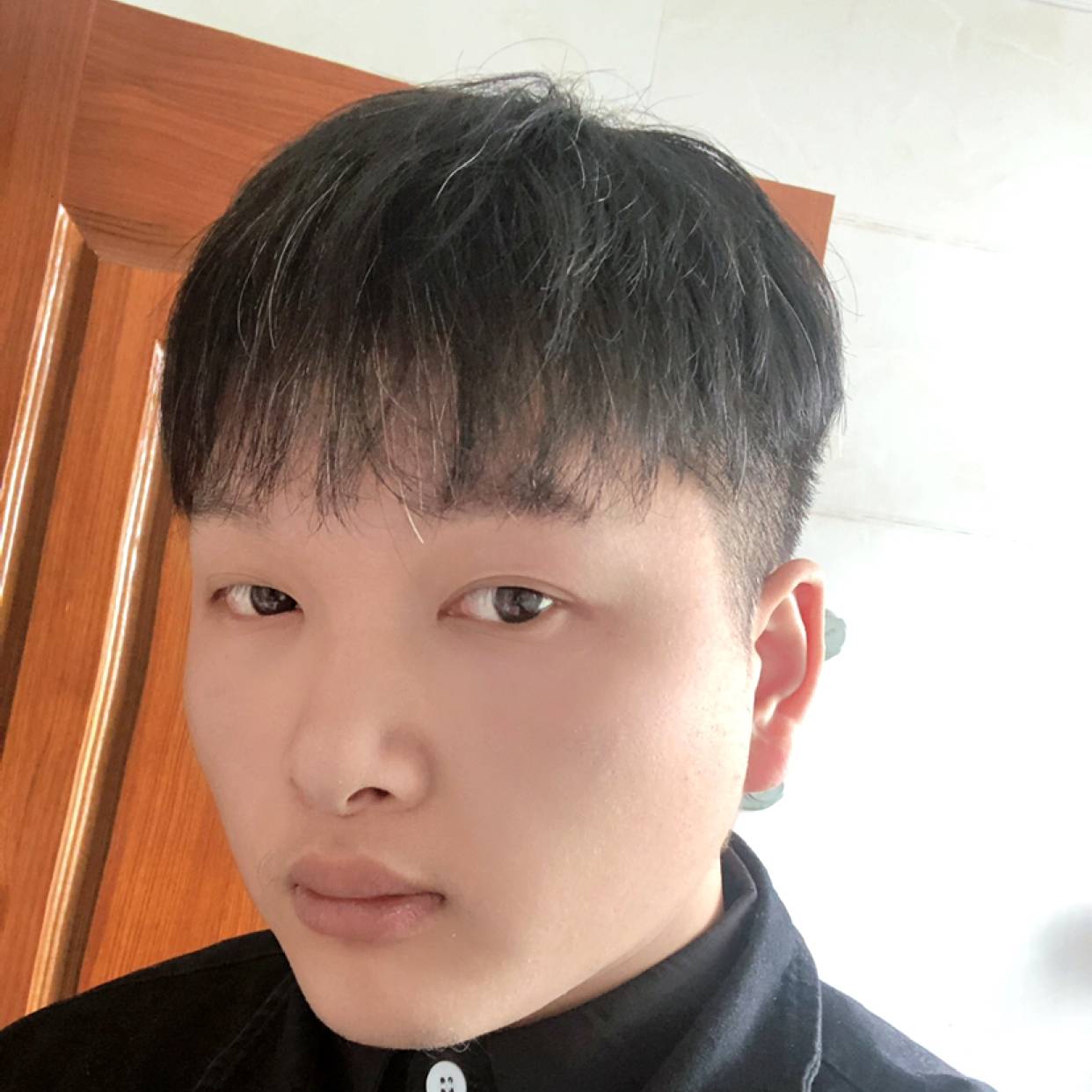 皮猫的照片