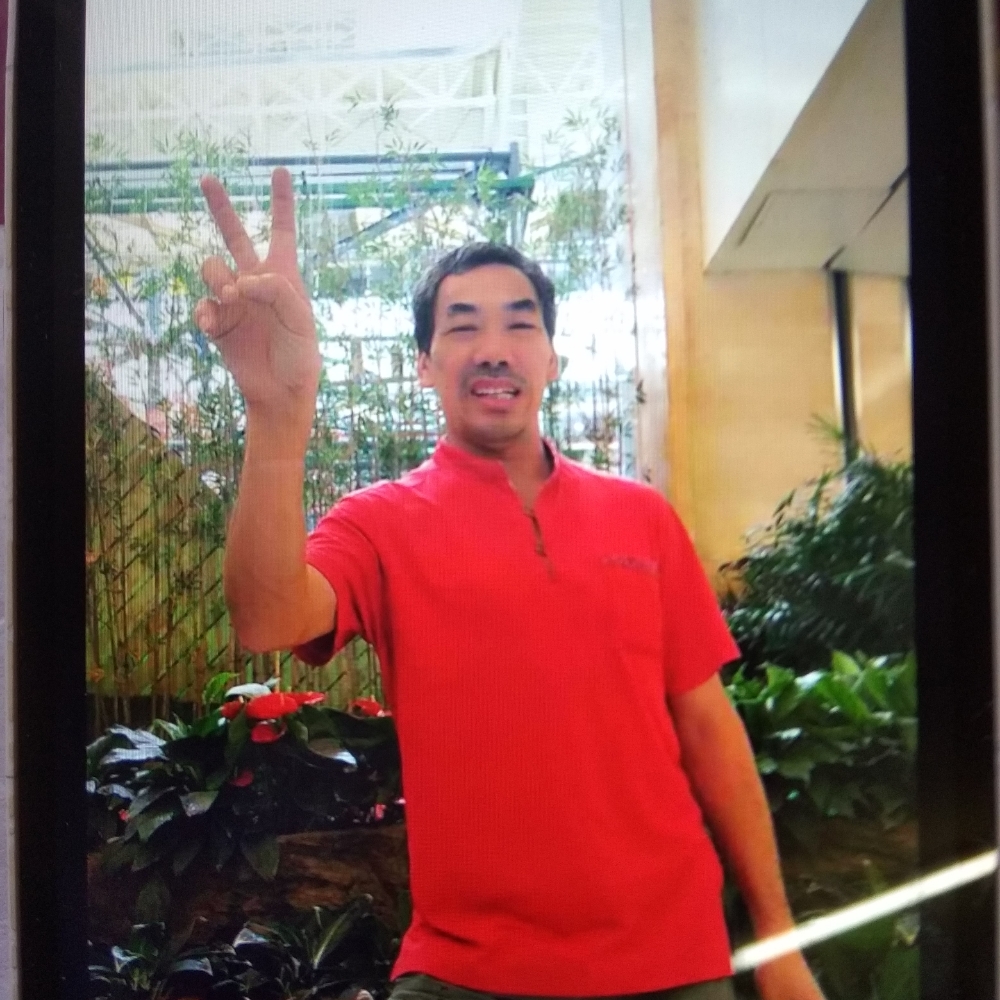 糊涂苗条的照片
