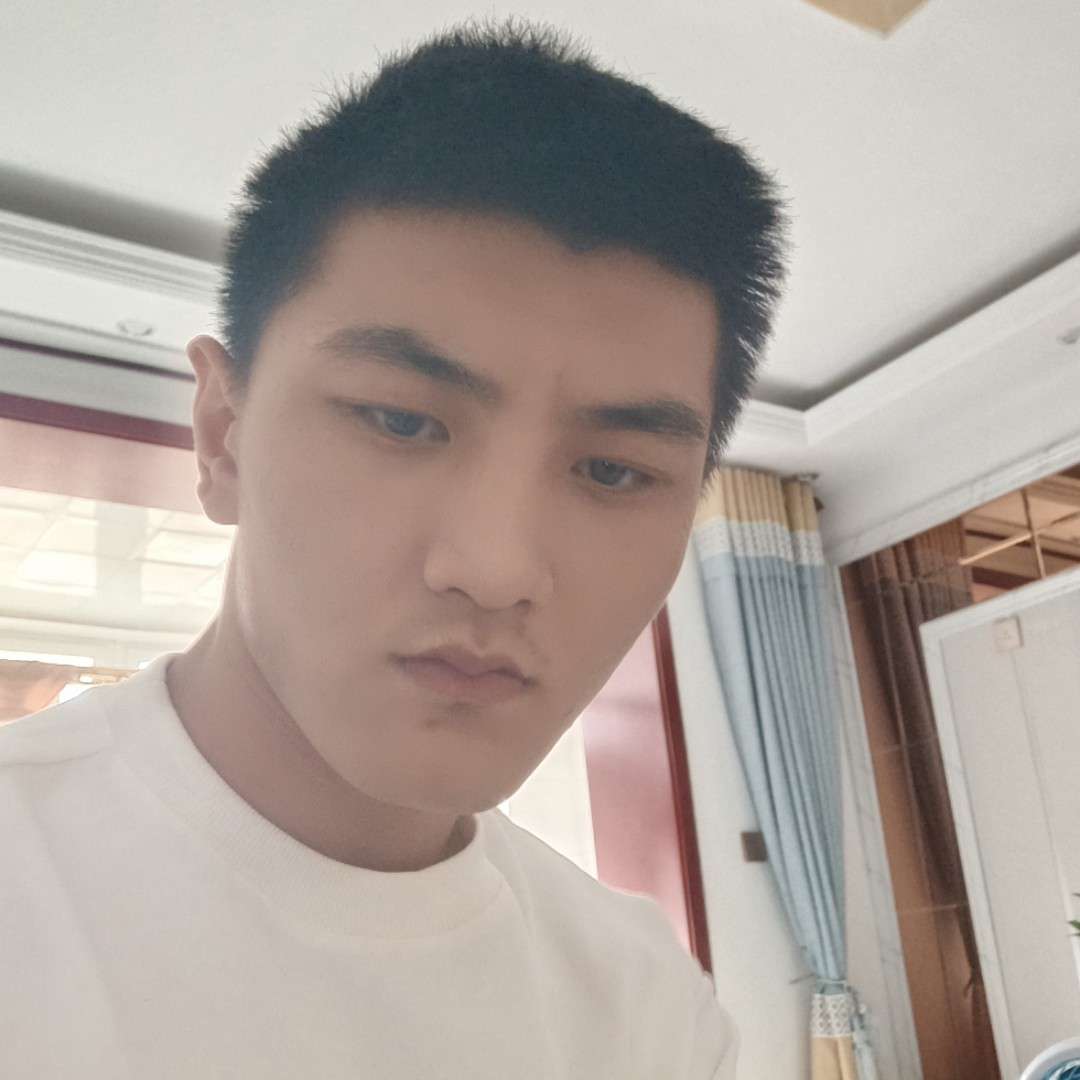 哈密瓜演变从容的照片