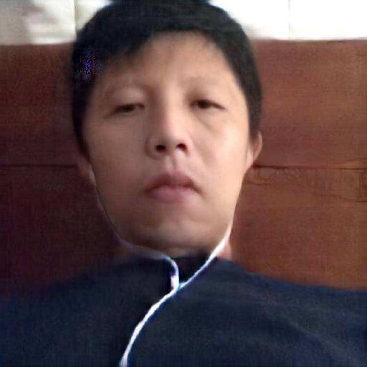 自由扯康乃馨的照片