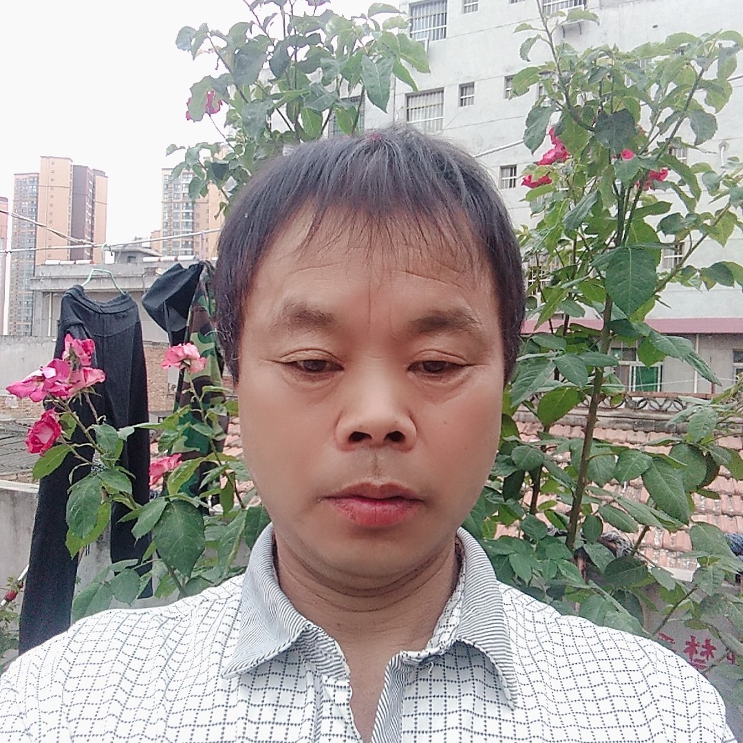 铃铛回眸勤奋的照片