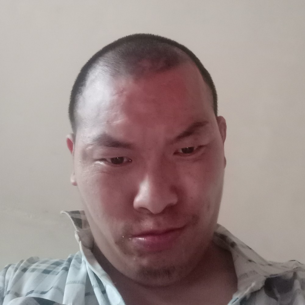 铅笔朴实的照片