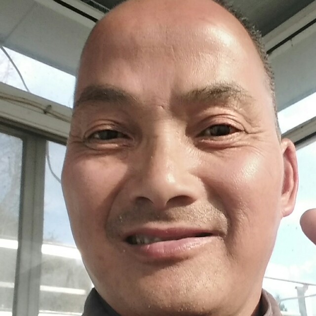 太爽的照片