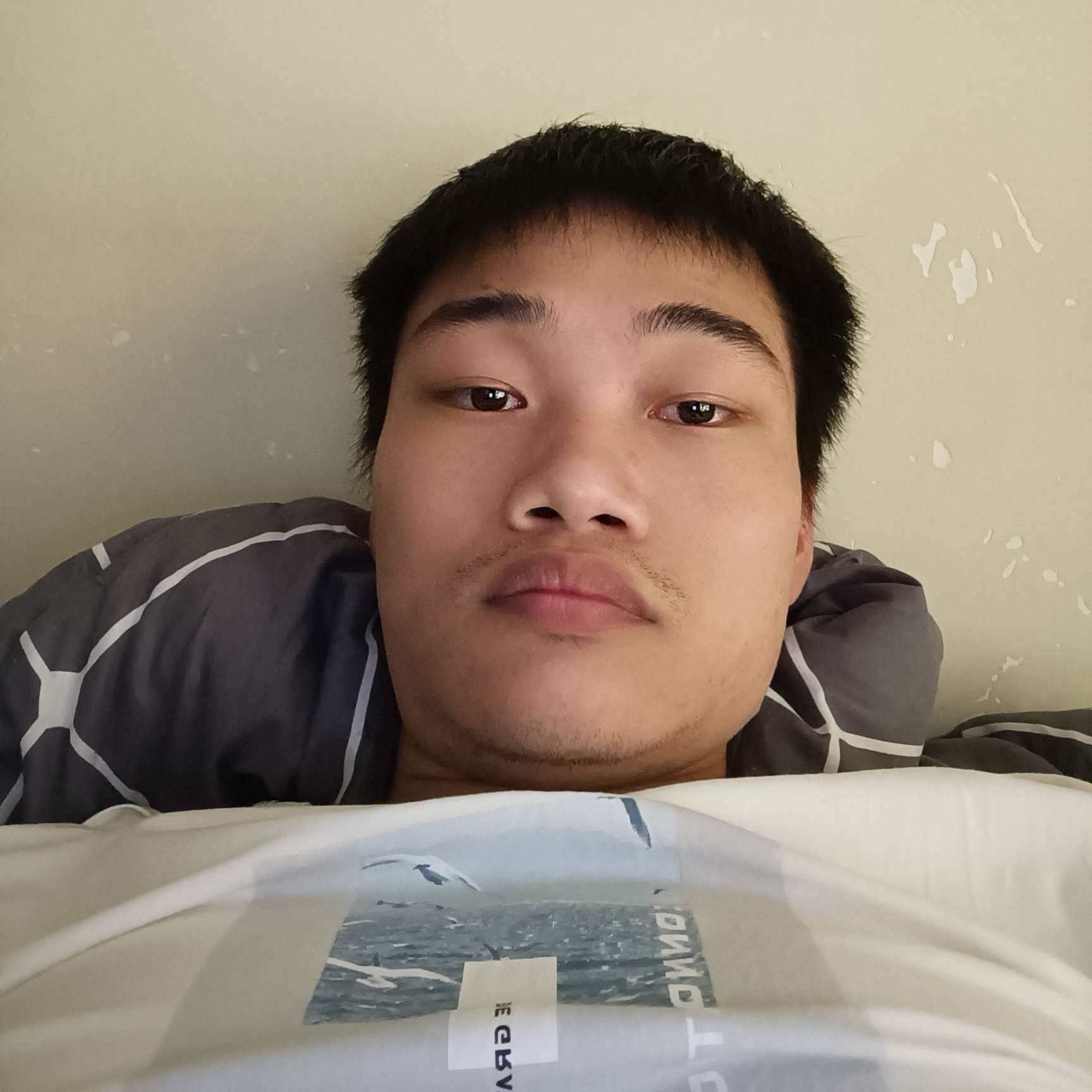 小馒头就可爱的照片
