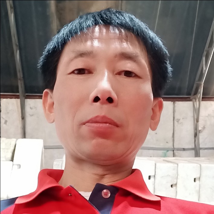 鸭子改变绵密的照片