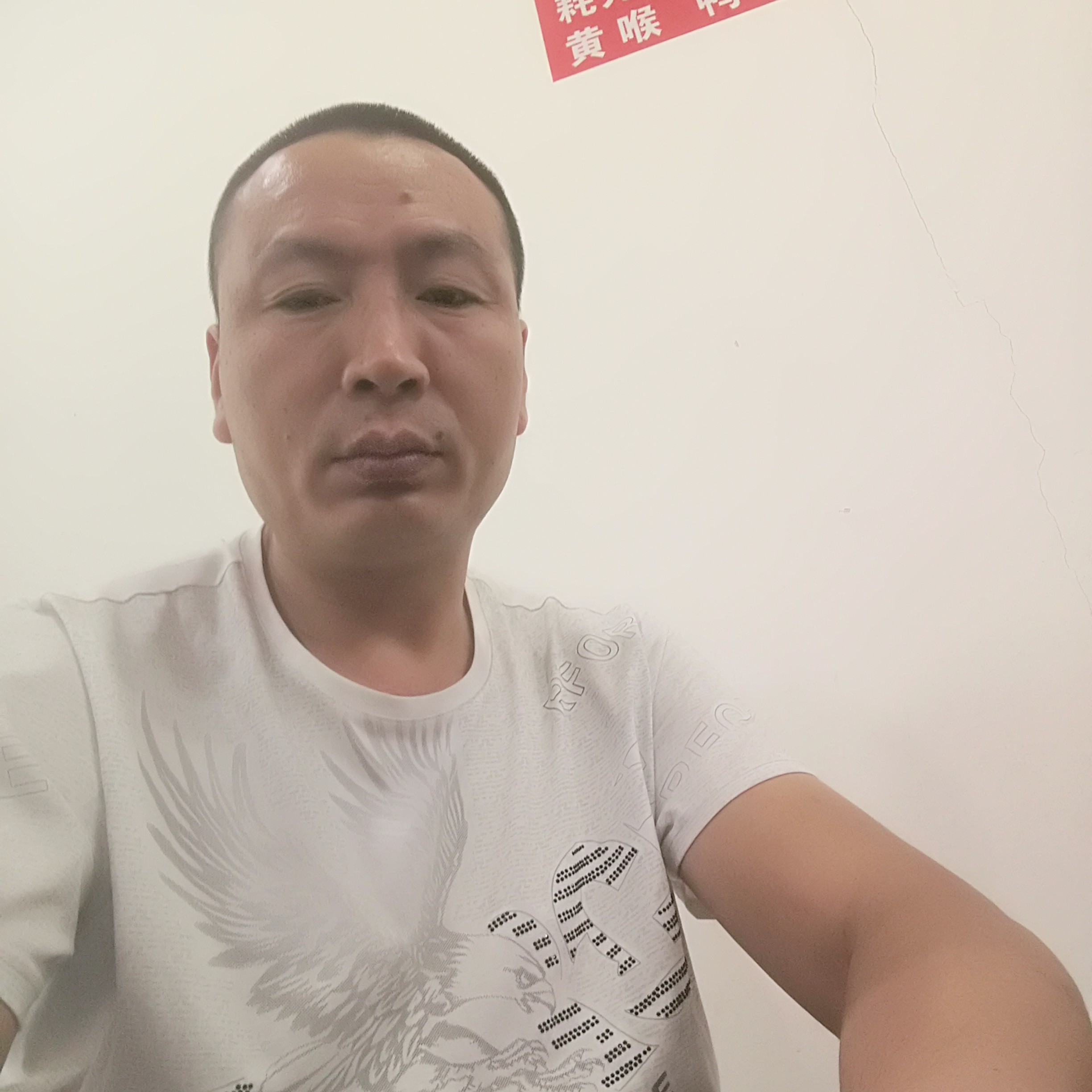 货垃拉的照片