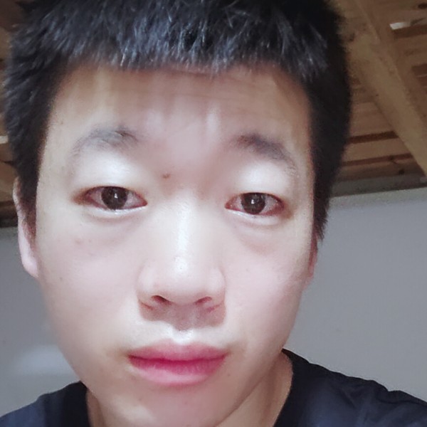 刺猬说无心的照片