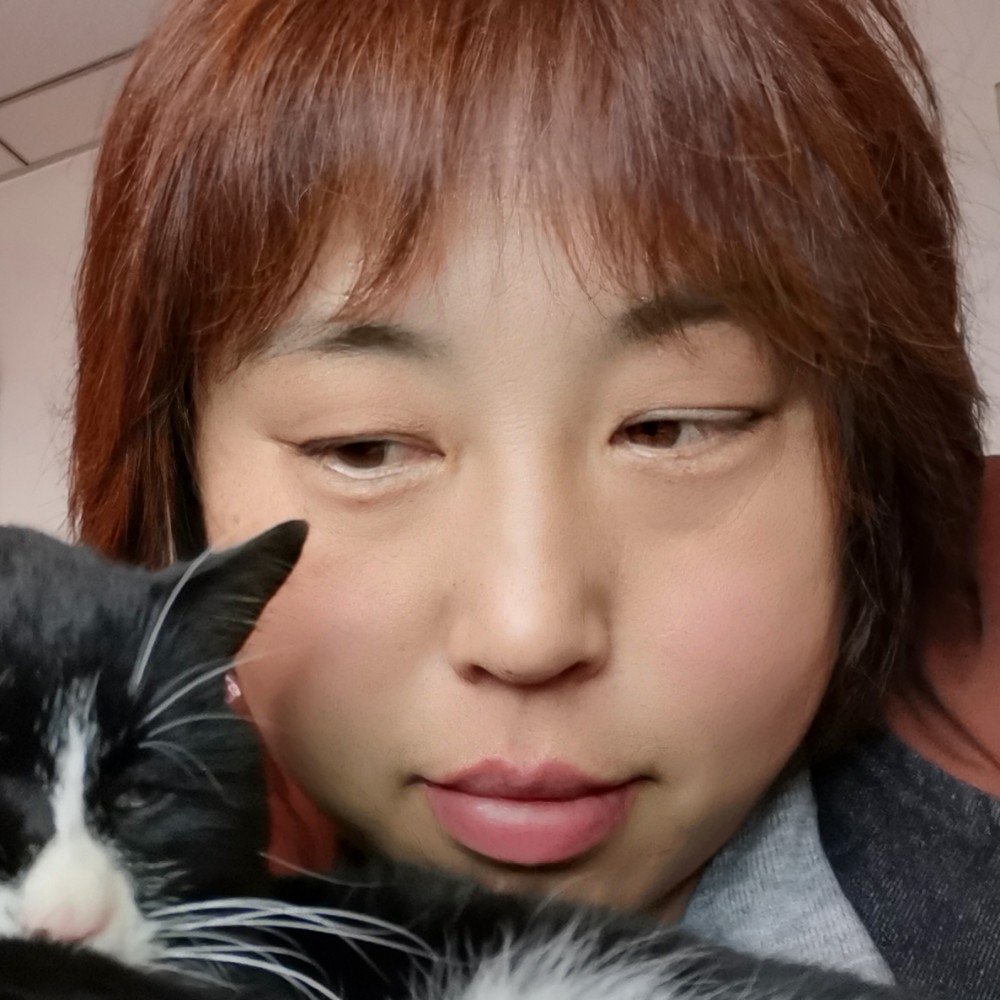 大意等于孤心的照片