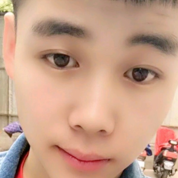 钢笔那美好的照片