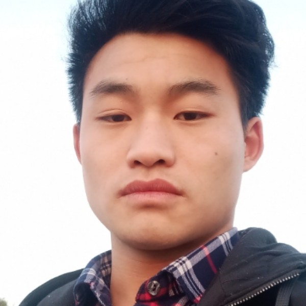 286244的照片