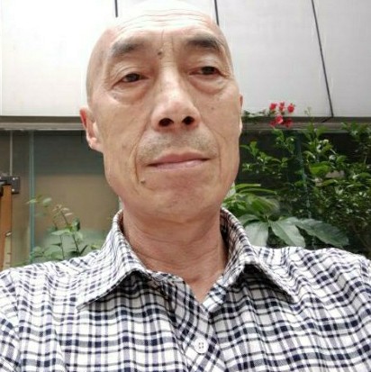 绚烂火车的照片