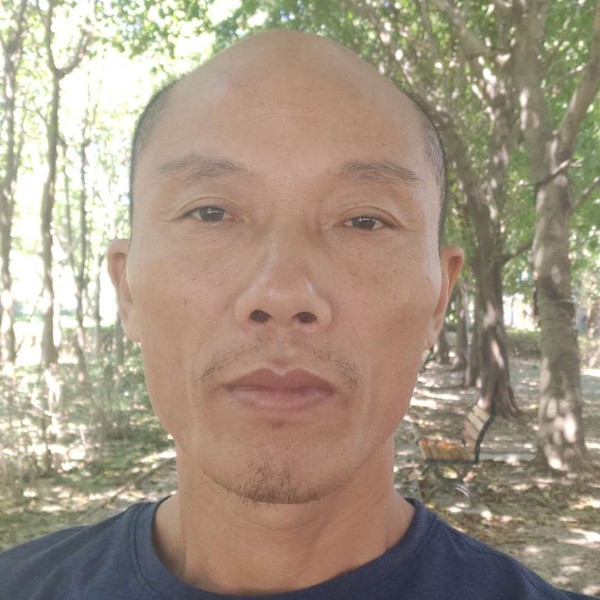 感性与小鸽子的照片