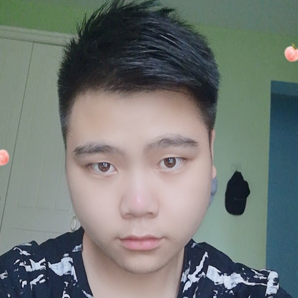 铃木王电车的照片