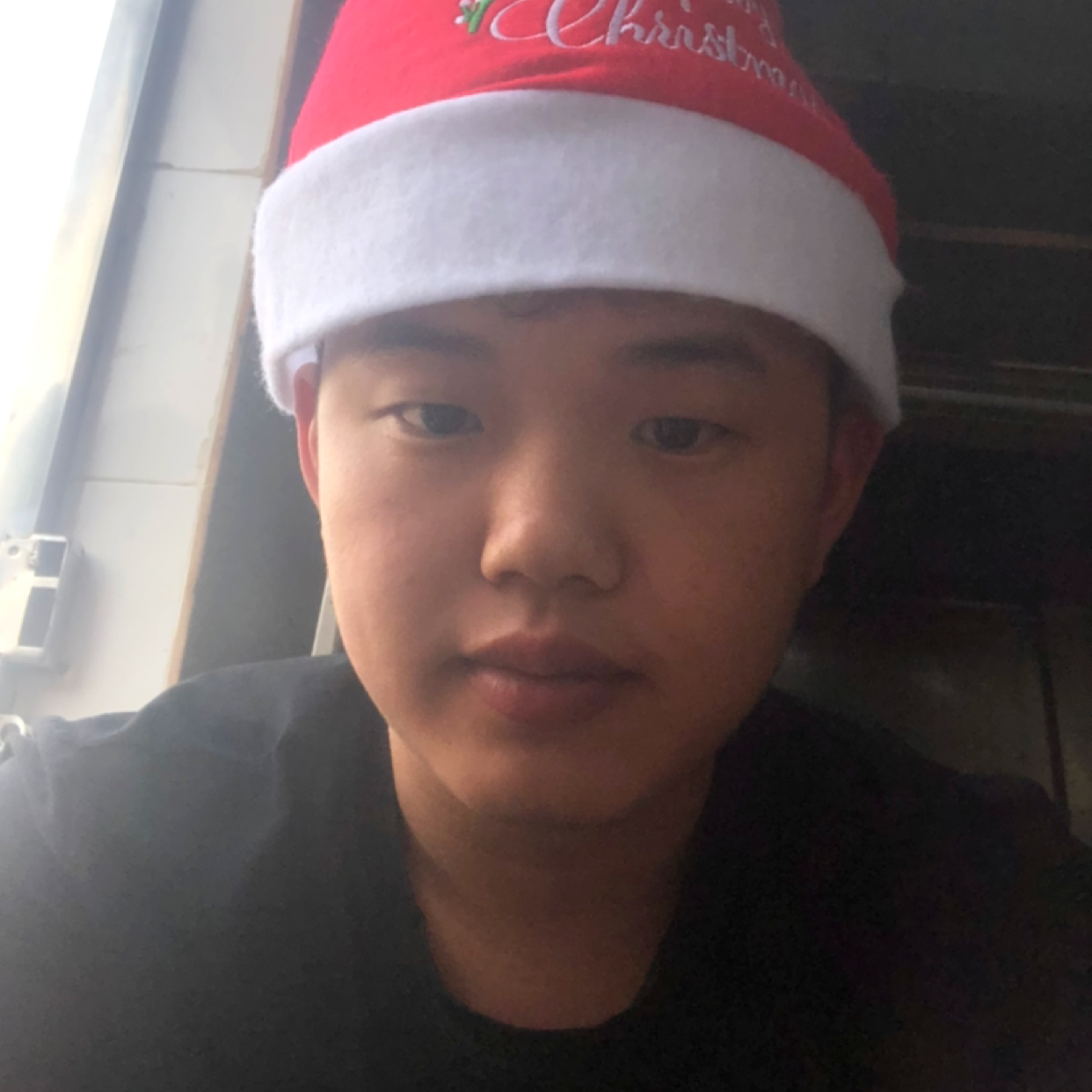 老鼠爱上的照片