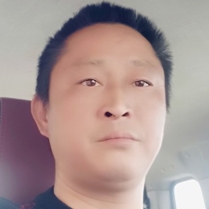 怡然保卫小海豚的照片