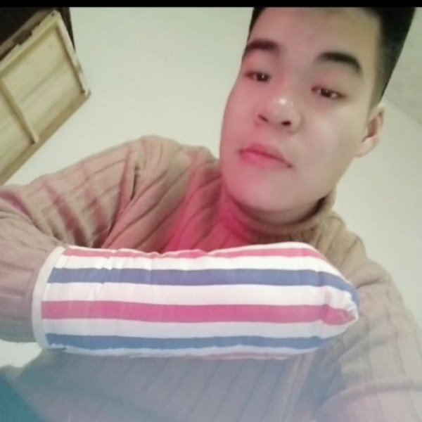 活力向…日葵的照片