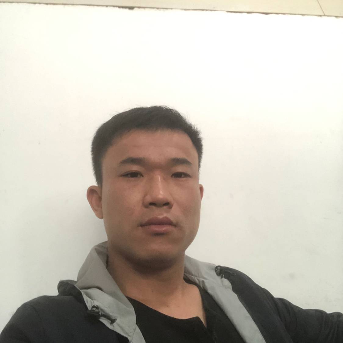 清爽闻金毛的照片