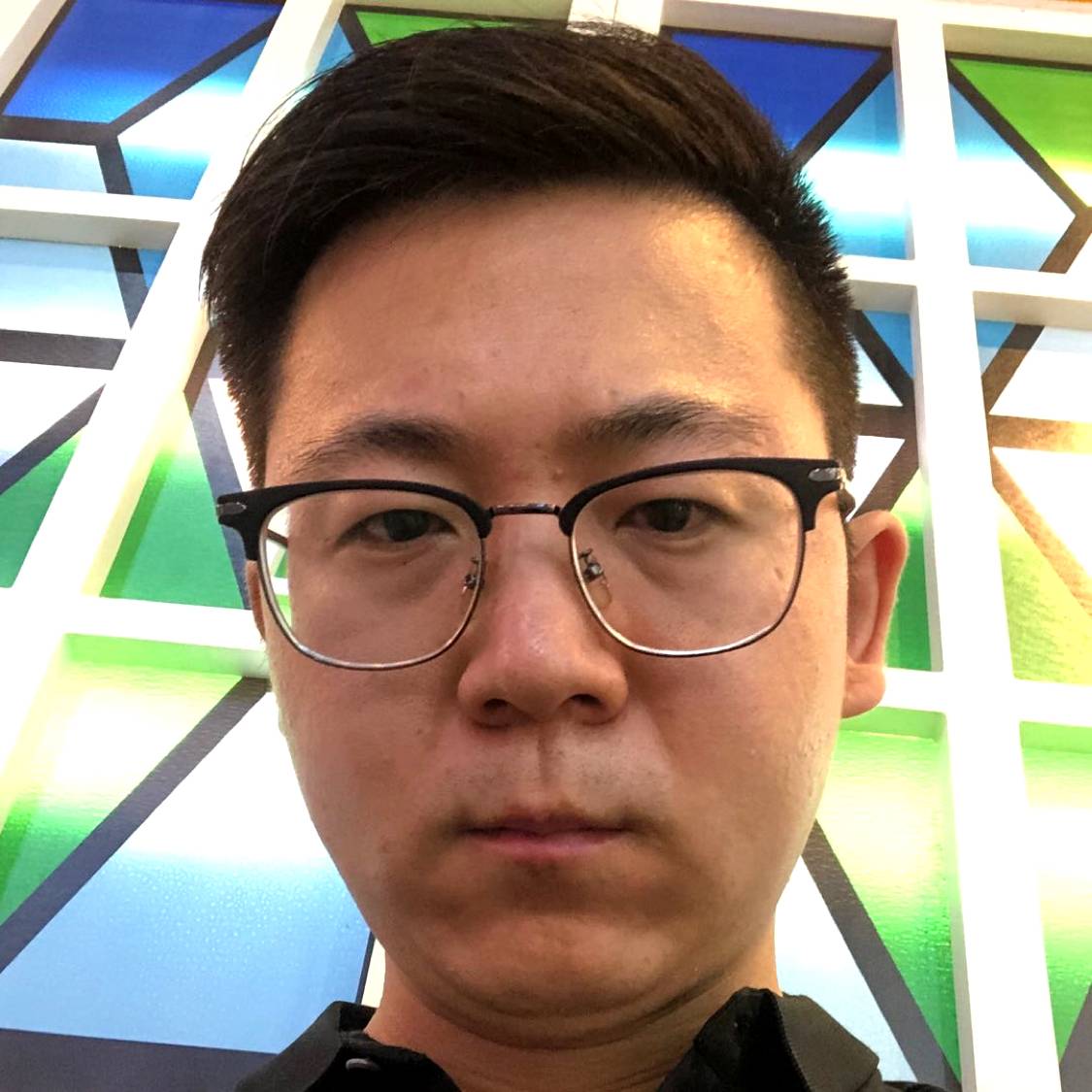 危机苦恋树叶的照片