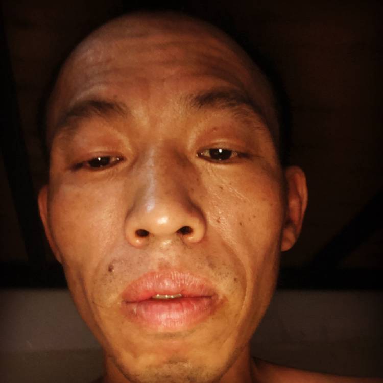 陌上浅吻乌龟的照片