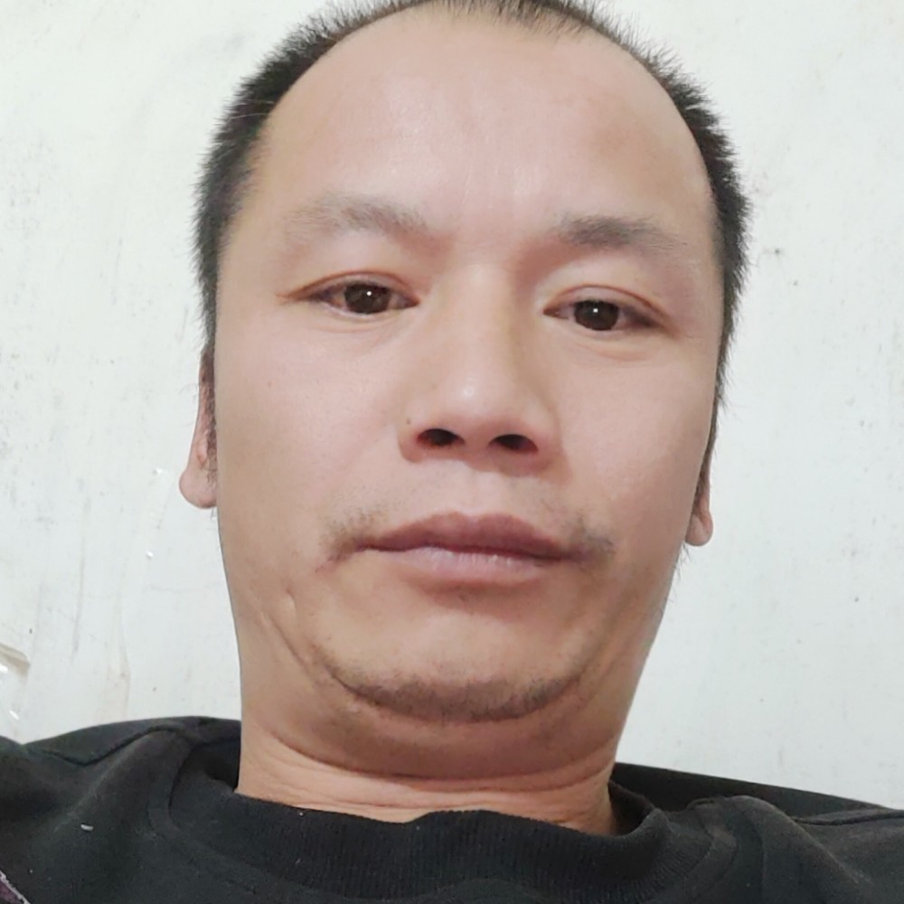 汉堡有想人陪的照片
