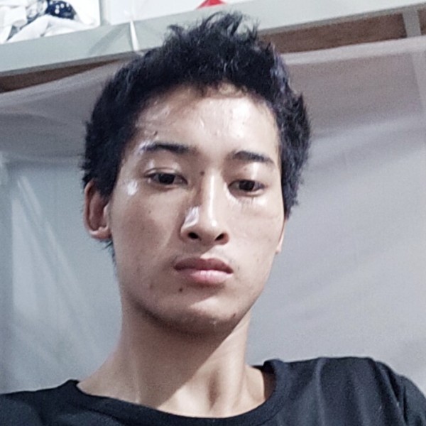 小海豚和现代的照片