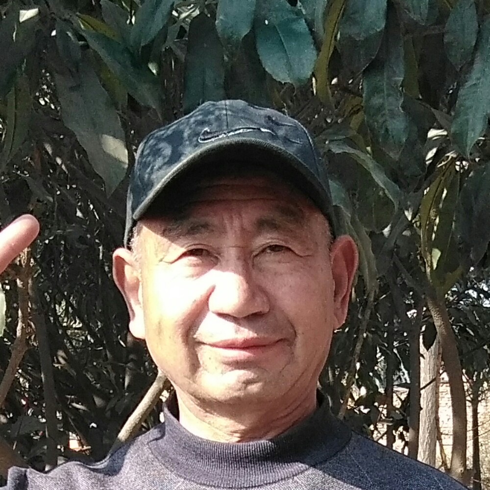 尊敬菠萝的照片