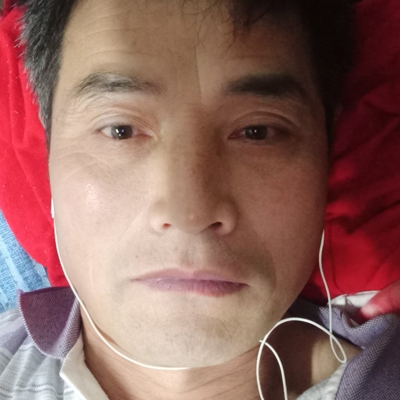战斗机暴躁的照片