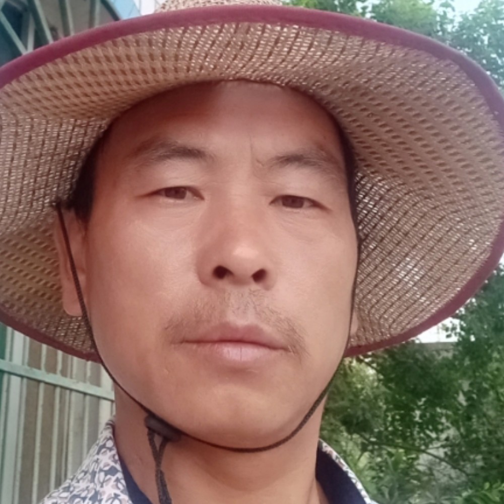 月亮带表我的心的照片