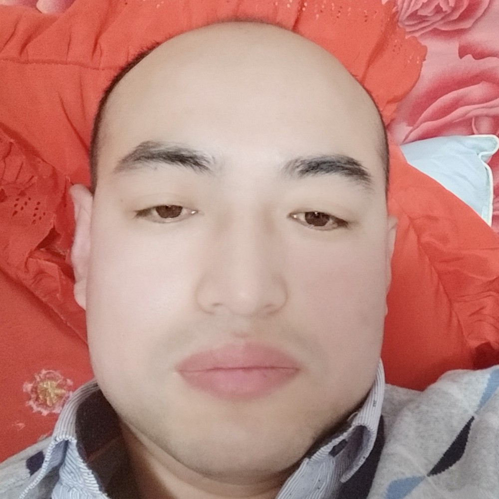 火金龙的照片