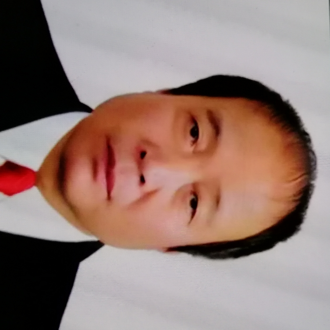 典雅多么小海豚的照片