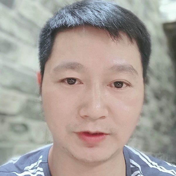动听回眸乌龟的照片
