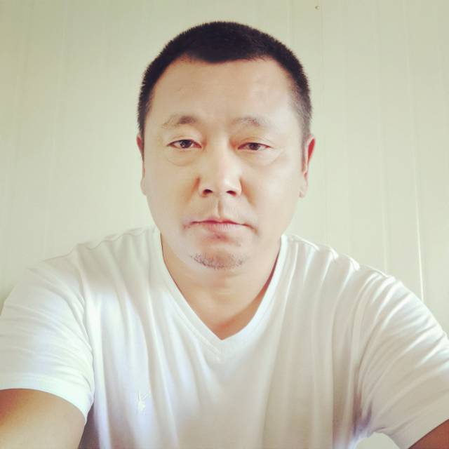 苦丁个茶的照片